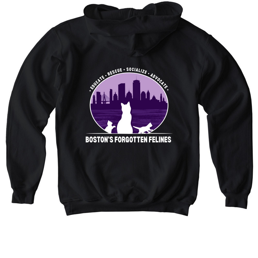 BFF Double Logo Sweatshirt (Dark Colors), a Black Softstyle Youth Pullover Hoodie (back-view)