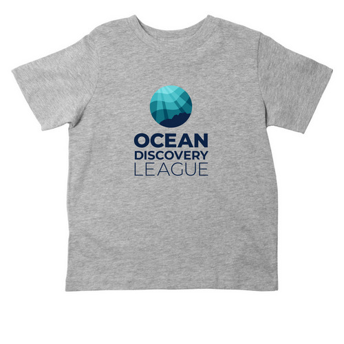 Toddler T-Shirt & Hoodie (Gray/White), a Heather Toddler Tee