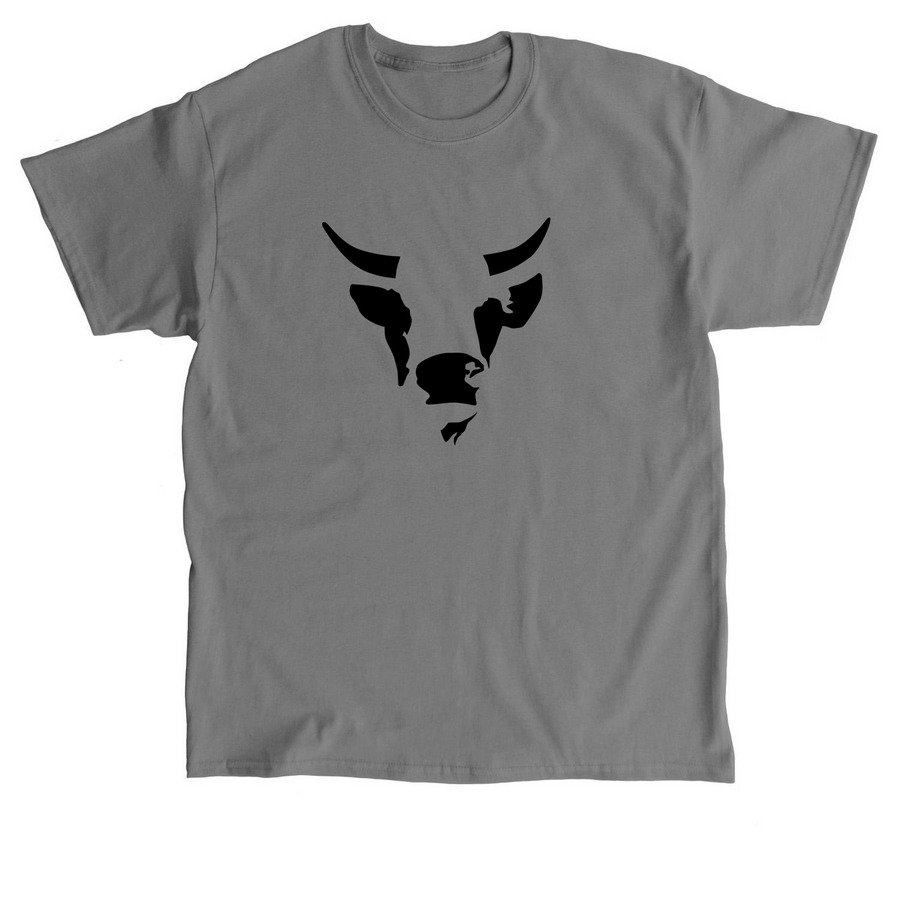 Origin Story, a Charcoal Classic Unisex Tee