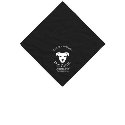 Bandana, a Black Cotton Bandana