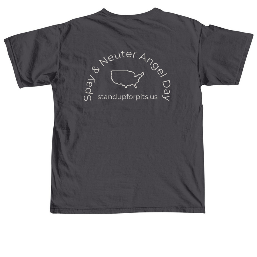 SPAY & NEUTER ANGEL DAY 2026, a Graphite Comfort Colors Unisex Tee (back-view)