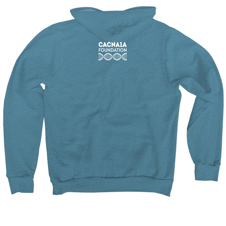 Summit CACNA1A, a Heather Deep Teal Premium Pullover Hoodie (back-view)