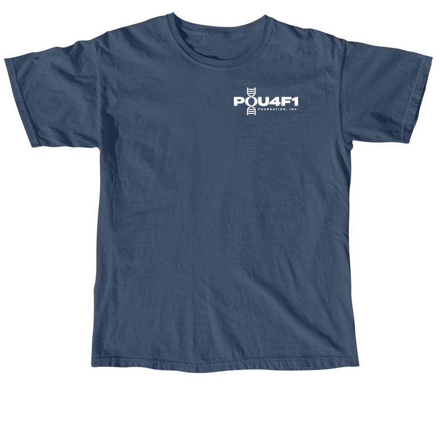 Adult Inaugural Awareness Day 2026, a Midnight Comfort Colors Unisex Tee