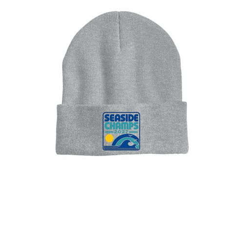 CHAMPS Beanie, a Heather Grey Printed Cuffed Beanie