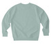 Steerage to Captain's Table 1.0 Women's, a Aloe Stanley/Stella Unisex Changer 2.0 Crewneck Sweatshirt (back-view)
