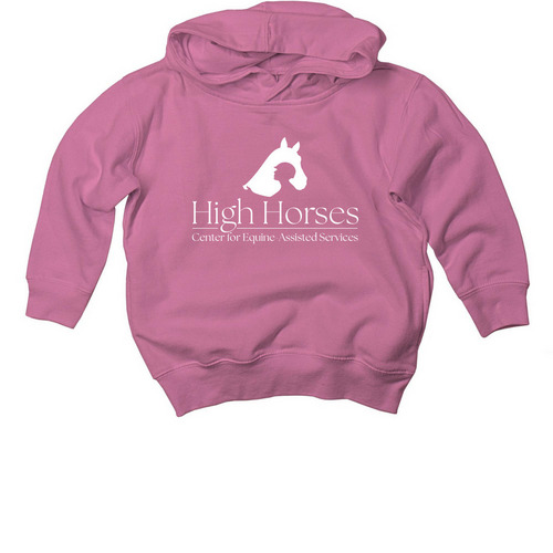 Toddler Shirts to Support High Horses!, a Raspberry Toddler Pullover Hoodie