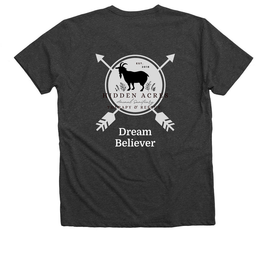 Good Doer, a Dark Grey Heather Premium V-Neck Tee (back-view)
