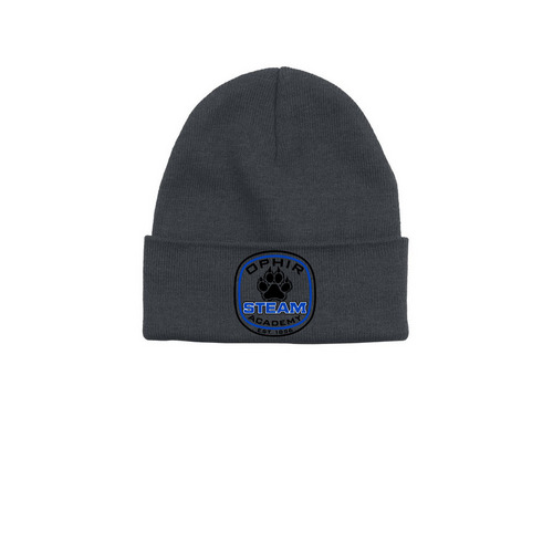 Ophir Logo Beanie, a Heather Grey Printed Base Camp Beanie