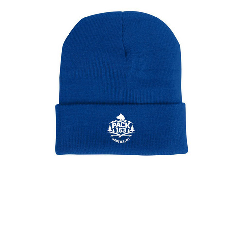 Pack 163 Winter Hat, a Royal Blue Printed Cuffed Beanie