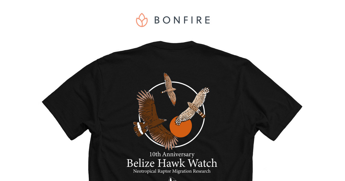 Hawks In Flight T-Shirt – Bird Collective