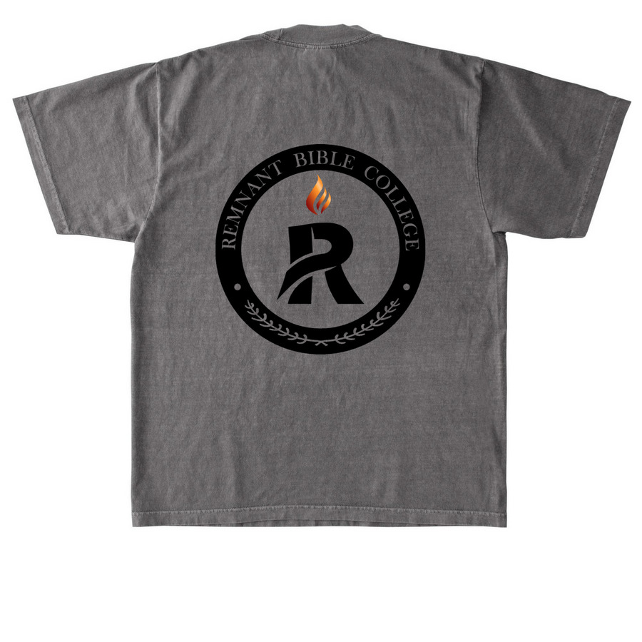 RBC, a Cement Heavyweight Garment Dye Tee (back-view)