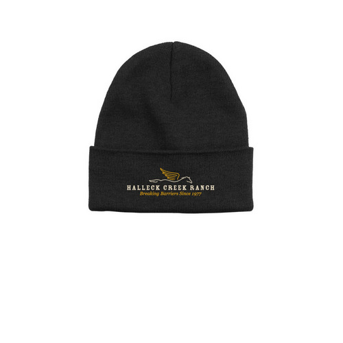 Halleck Creek Ranch Beanies, a Black Printed Base Camp Beanie