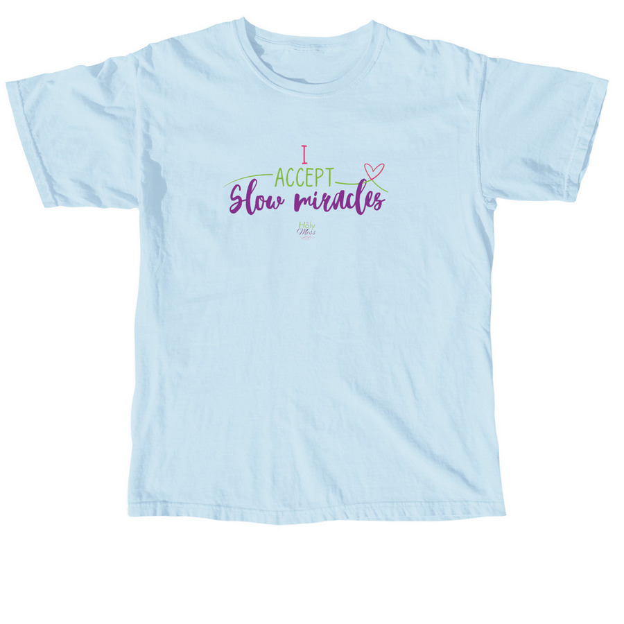 I Accept Slow Miracles shirt