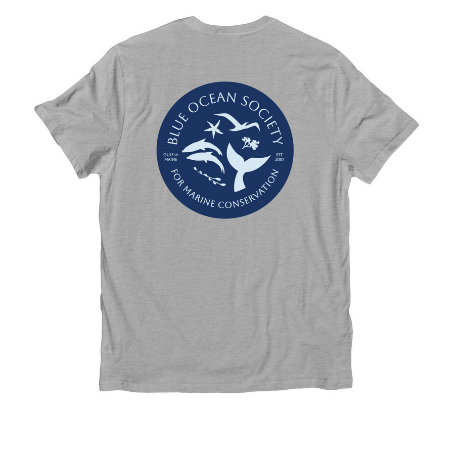 New Logo Apparel, a Granite Grey Heather Allmade Organic Cotton Unisex Tee (back-view)
