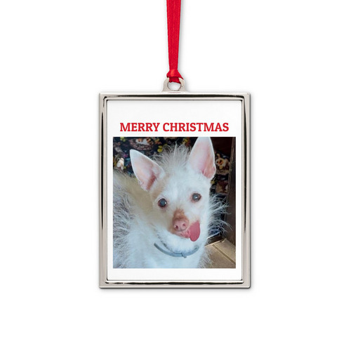 Christmas 2026- Pixie, a White Silver Portrait Frame Ornament