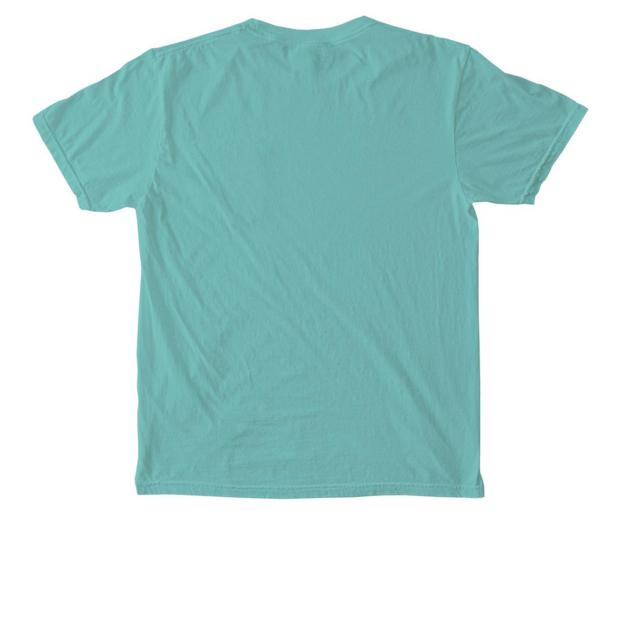 ACLR Pocket Tee, a Chalky Mint Comfort Colors Pocket Tee (back-view)