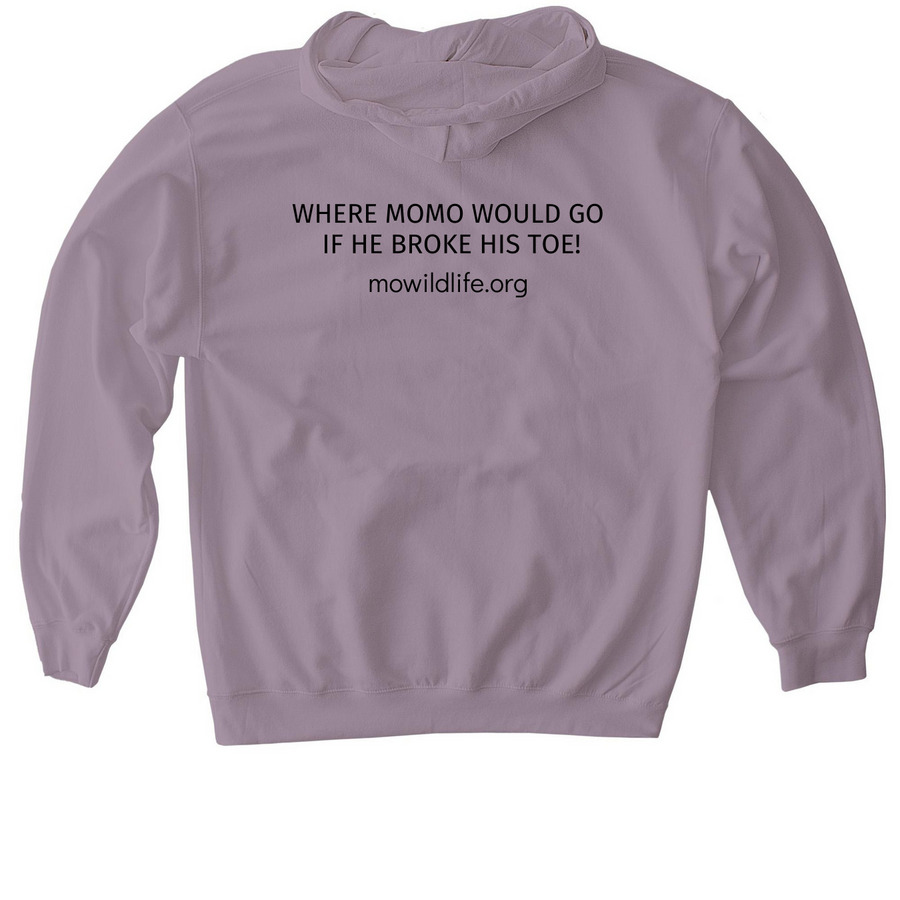 MOMO REHAB PROGRAM, a Paragon Gildan Softstyle Pullover Hoodie (back-view)