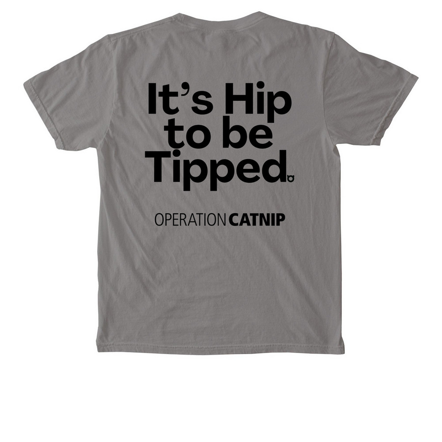 Hip & Tipped Pocket Tee, a Grey Comfort Colors Pocket Tee (back-view)