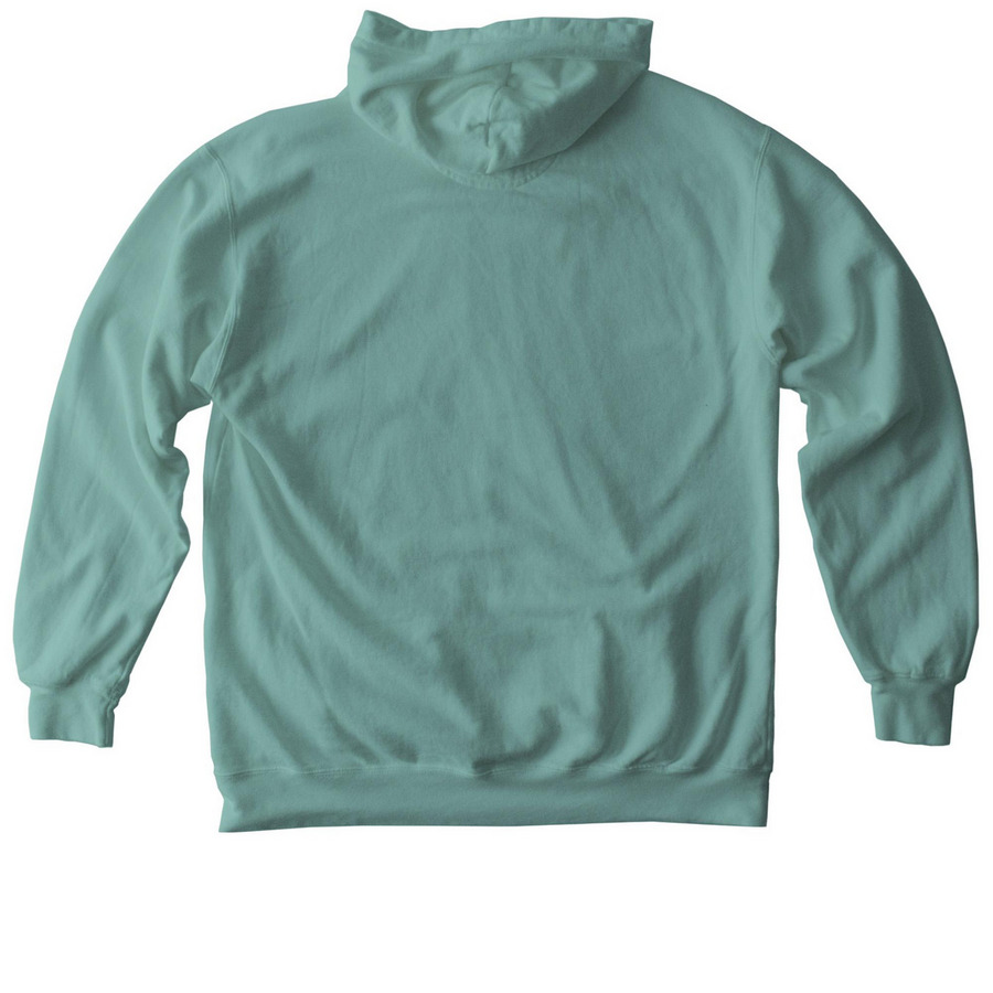 PM NEW Hoodies!??, a Seafoam Comfort Colors Pullover Hoodie (back-view)