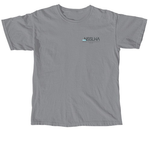 2026 Chapter Shirt, a Granite Comfort Colors Unisex Tee