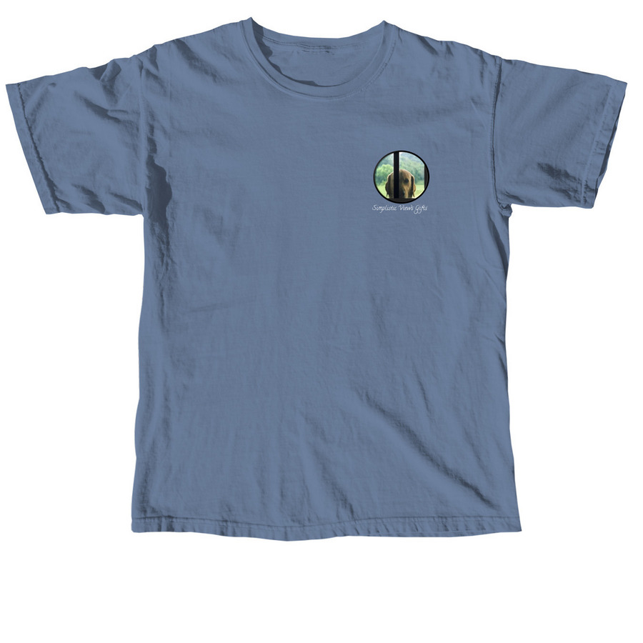 Derp Mode Activated - Black Lab 1, a Blue Jean Comfort Colors Unisex Tee