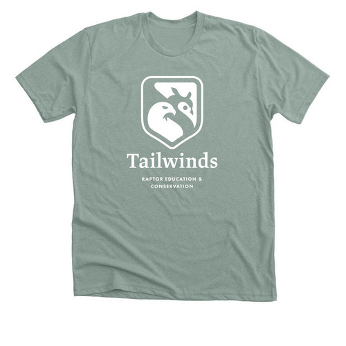 Tailwinds Tops, a Heather Sage Premium Unisex Tee