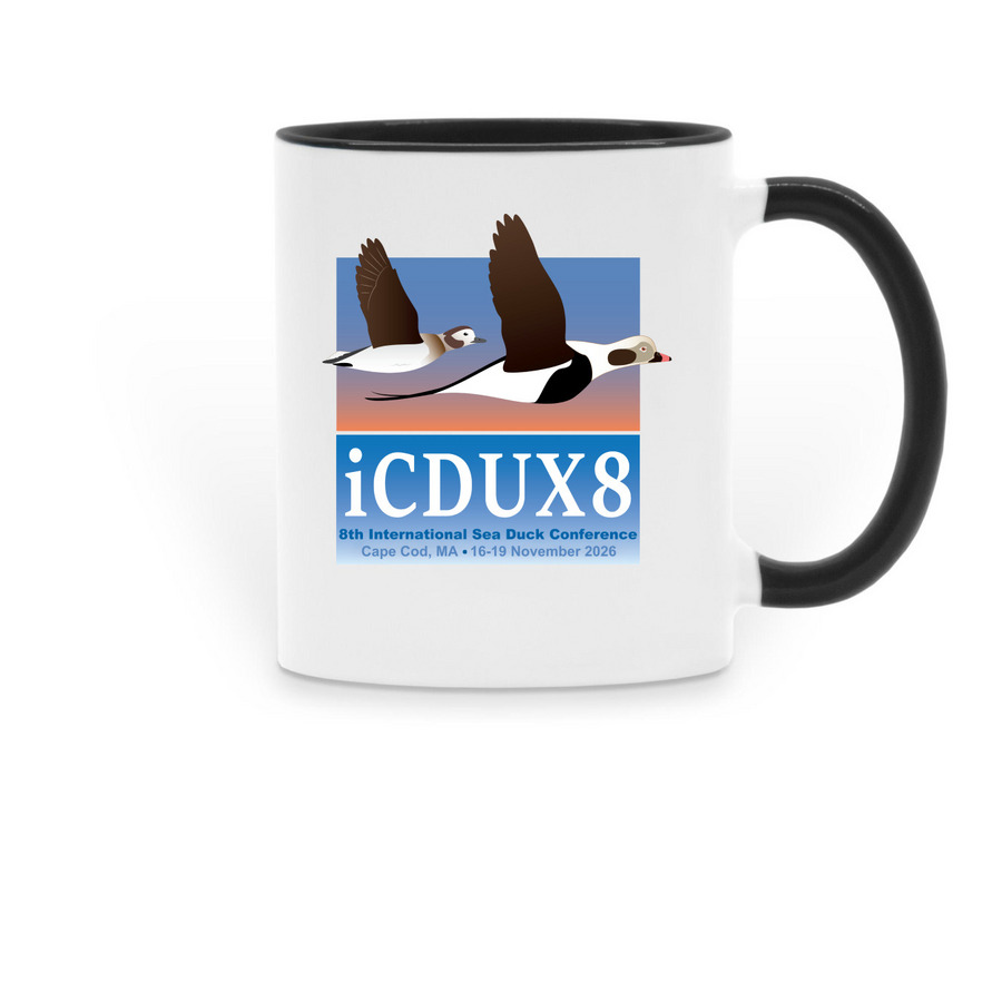 iCDUX8: Coffee mugs, a Black Two-Tone Ceramic Mug