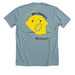 2026 Alex's Lemonade Stand T-shirts, a Heather Blue Lagoon Premium Unisex Tee (back-view)