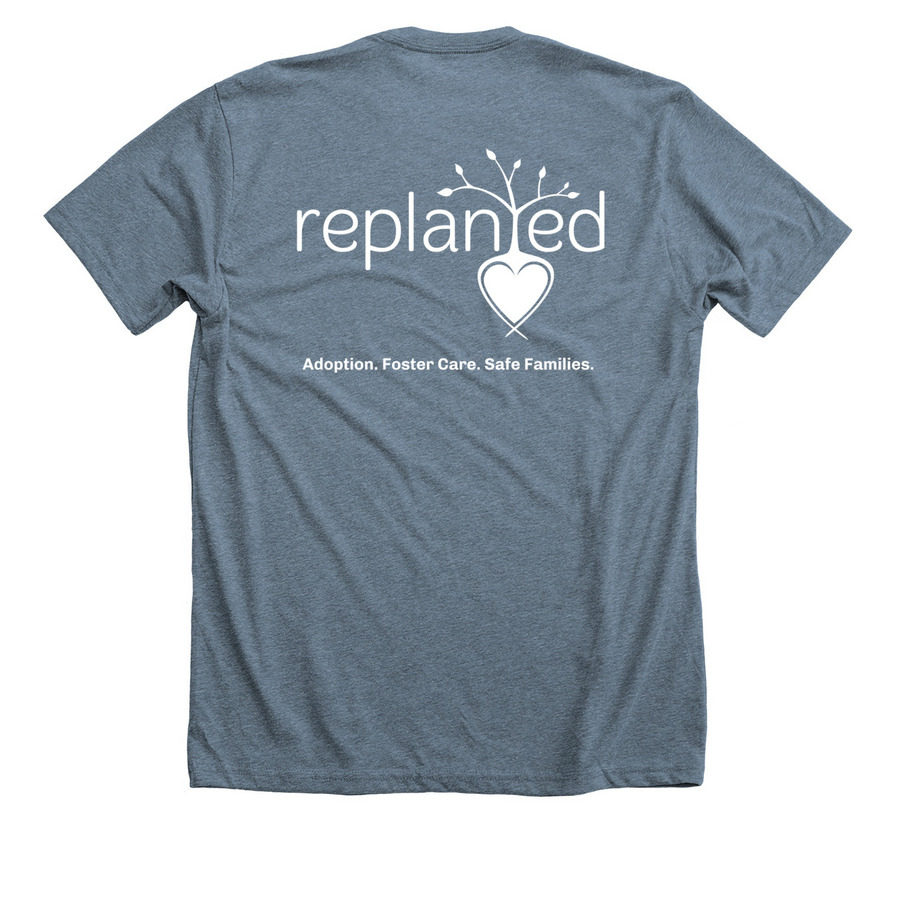 Replanted T-Shirts, a Heather Slate Premium Unisex Tee (back-view)