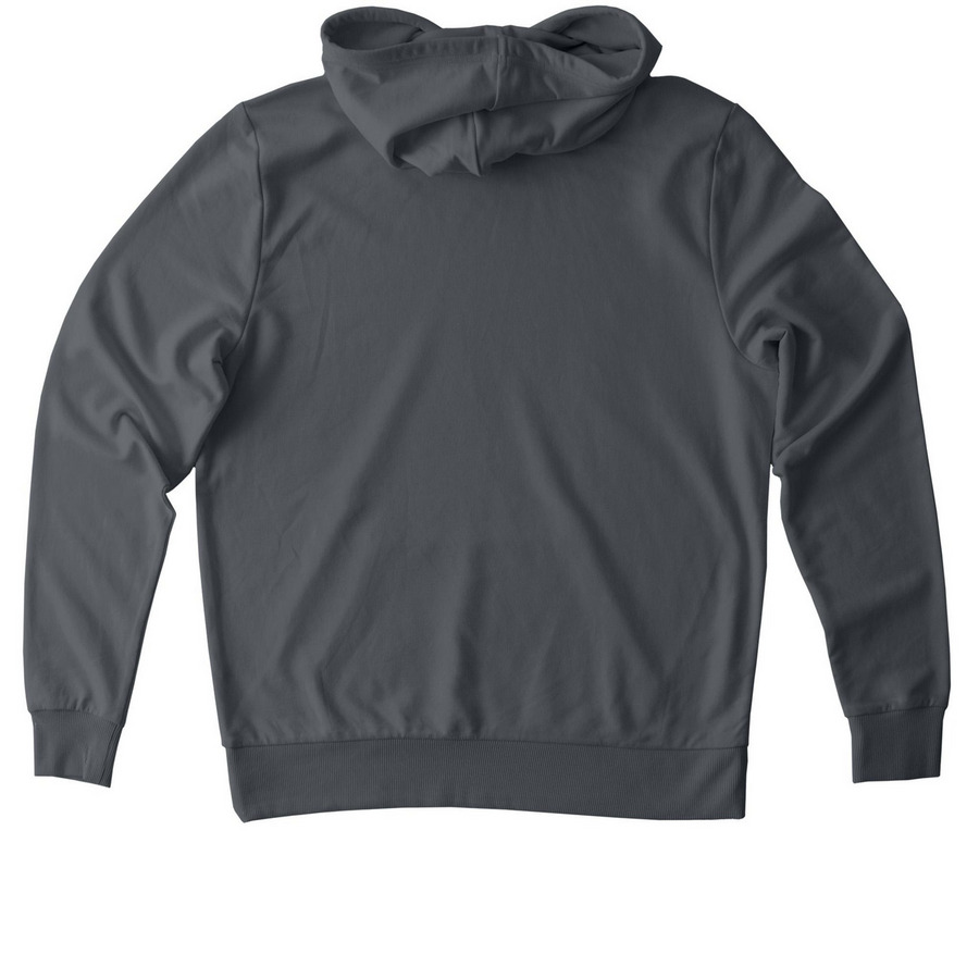 Genesis 6 - The Truth, a Terrain Grey Allmade Organic French Terry Pullover Hoodie (back-view)