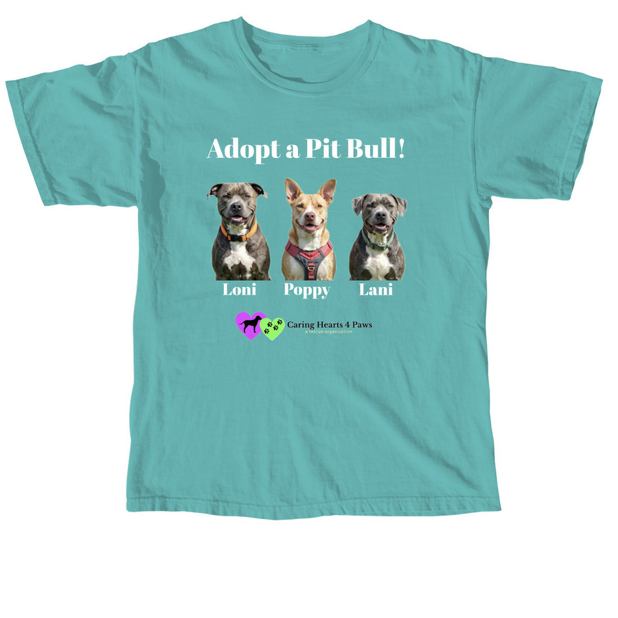 Adopt a Pit Bull!, a Seafoam Comfort Colors Unisex Tee