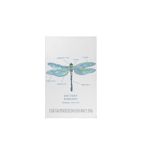 Limited Edition: Dragonfly Diagram, a White Tea Towel