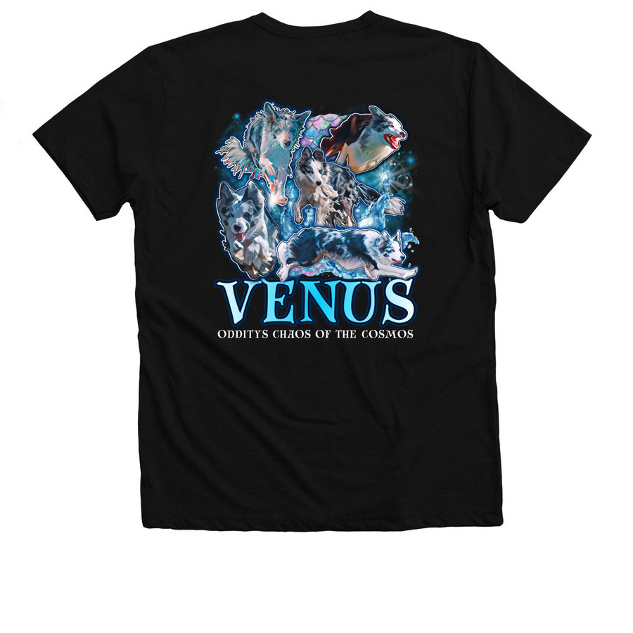Venus 2026, a Solid Black Blend Premium V-Neck Tee (back-view)