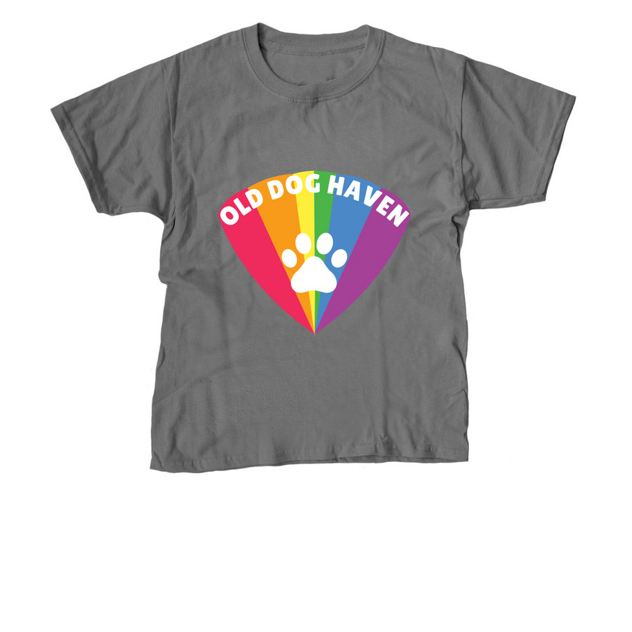 Say it LOUD, a Charcoal Youth Unisex Tee