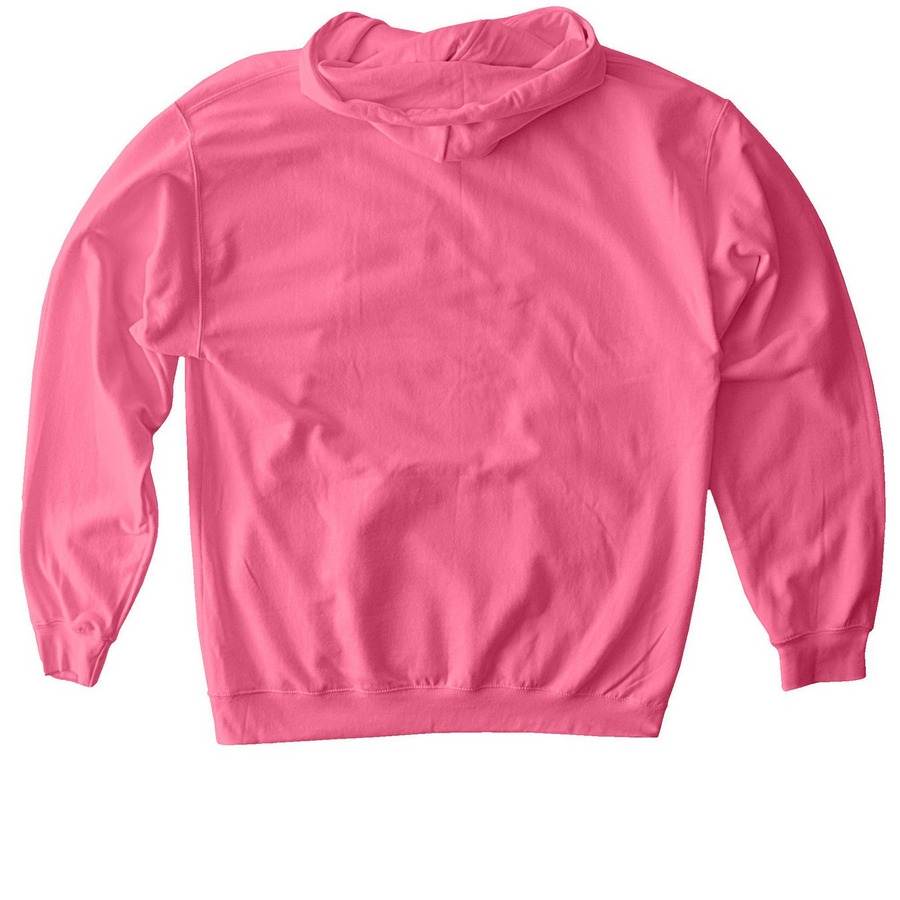 Beyond Chandra, a Pink Lemonade Softstyle Pullover Hoodie (back-view)
