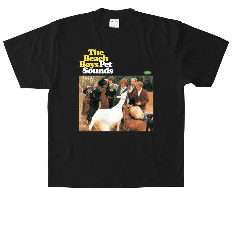 pet sounds tee, a Black Heavyweight Garment Dye Tee