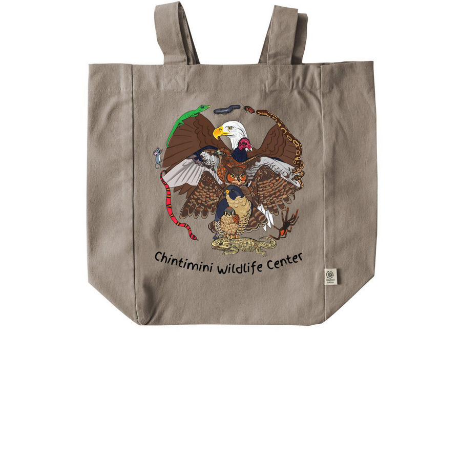 CWC Ambassador Tote, a Pumice Recycled Cotton Tote Bag