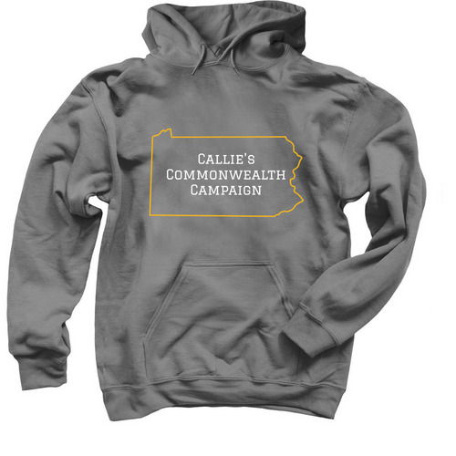 Classic Sweatshirt, a Charcoal Pullover Hoodie