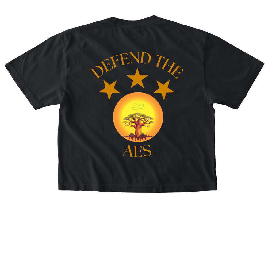 Defend The AES&nbsp;, a Black Comfort Colors Boxy Tee (back-view)
