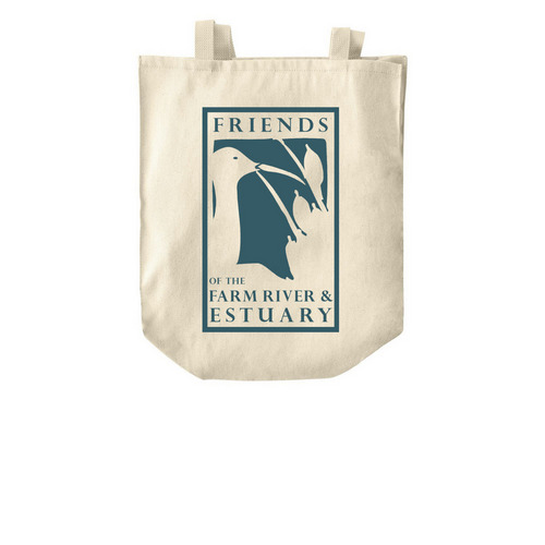 Every Day Tidal Tote, a Natural Over-the-Shoulder Shopping Tote Bag
