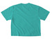 Sol Logo Cropped, a Chalky Mint Comfort Colors Boxy Tee (back-view)