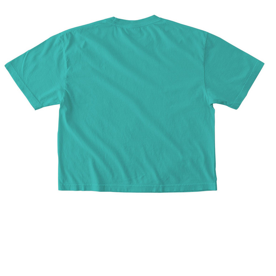 Sol Logo Cropped, a Chalky Mint Comfort Colors Boxy Tee (back-view)