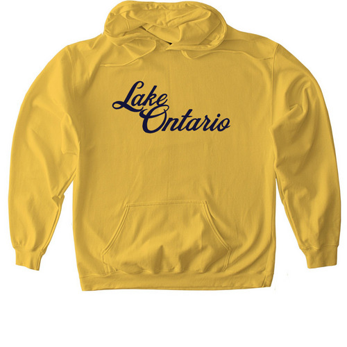 Lake Ontario Hoodie & Crewneck, a Daisy Softstyle Pullover Hoodie