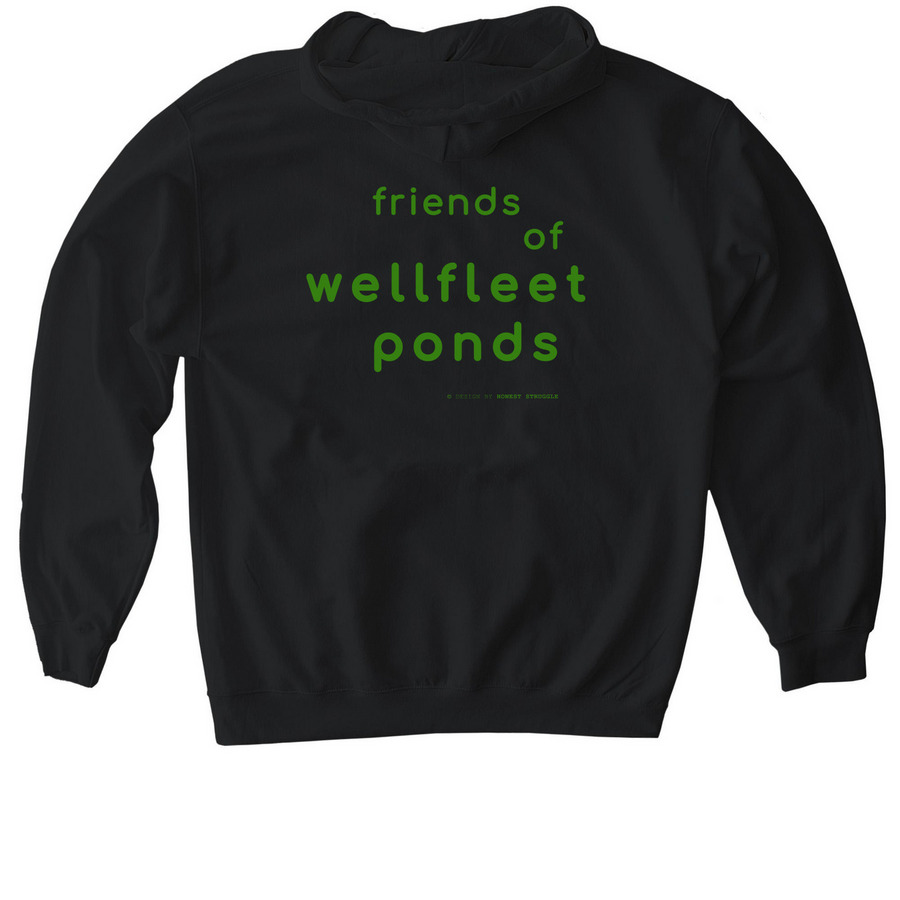 ponds ponds ponds HOODIE, a Black Gildan Softstyle Pullover Hoodie (back-view)