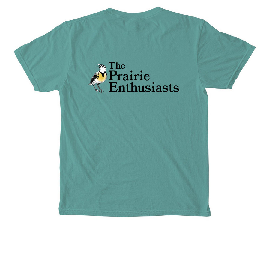 Pocket Tee, a Seafoam Comfort Colors Pocket Tee (back-view)