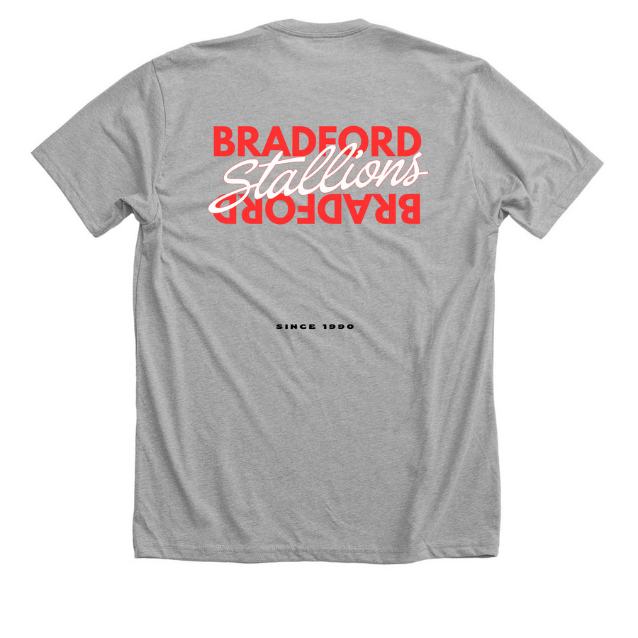 Double Bradford Logo 1990, a Athletic Heather Premium Unisex Tee (back-view)