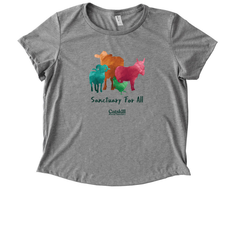Watercolor CAS Tee: Women's, a Aluminum Grey Allmade Eco Triblend Women?s Scoop Neck Tee
