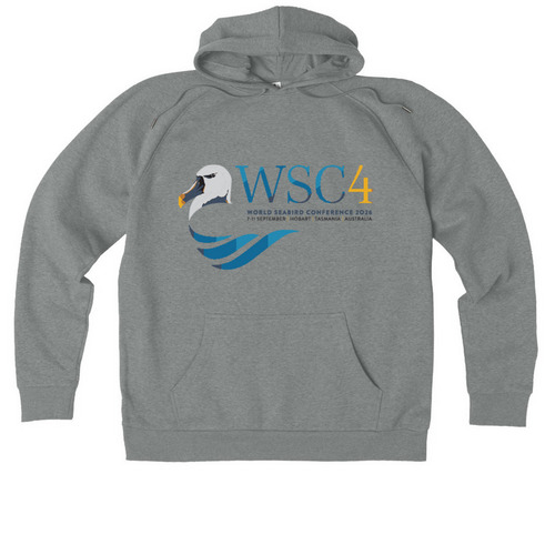 WSC4 Allmade Organic Hoodie, a Aluminum Grey Heather Allmade Organic CVC Pullover Hoodie