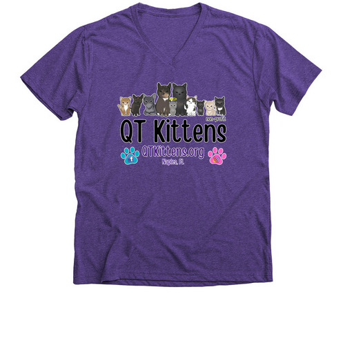 Buy a Shirt. &nbsp;Feed a Kitten. &nbsp;QT Kittens., a Purple Rush Premium V-Neck Tee