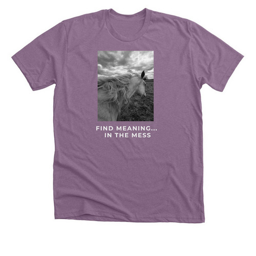 Find Meaning in the Mess, a Heather Purple Premium Unisex Tee